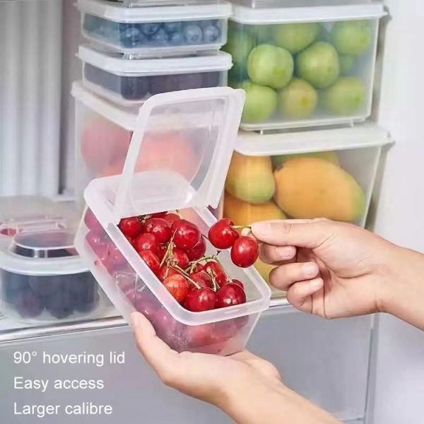2pcs / Set Round 600ml+Square 500ml Fruit Vegetable Small Dispenser Refrigerator Fresh Storage Boxes - Image 5