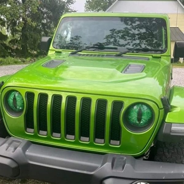1pair Beast Eyes Headlight Decorative Stickers Off-Road Vehicle Front Lights Stereo Decals, Style: 1 - Image 6