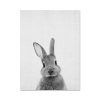 Rabbit Before and After the Computer Printing Decorative Painting Frameless Core, Size: 13x18cm (Grey Rabbit Front) - Image 2