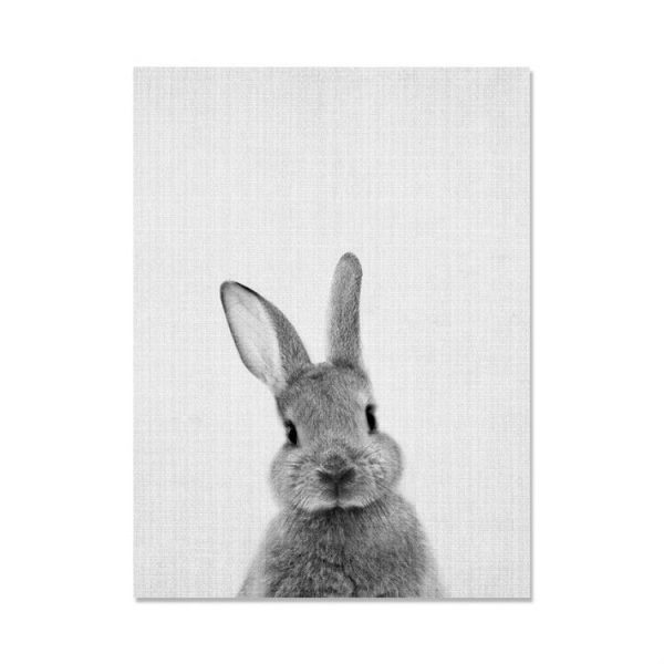 Rabbit Before and After the Computer Printing Decorative Painting Frameless Core, Size: 13x18cm (Grey Rabbit Front) - Image 2
