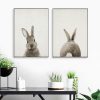 Rabbit Before and After the Computer Printing Decorative Painting Frameless Core, Size: 13x18cm (Grey Rabbit Front) - Image 3