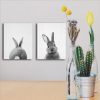 Rabbit Before and After the Computer Printing Decorative Painting Frameless Core, Size: 13x18cm (Grey Rabbit Front) - Image 6