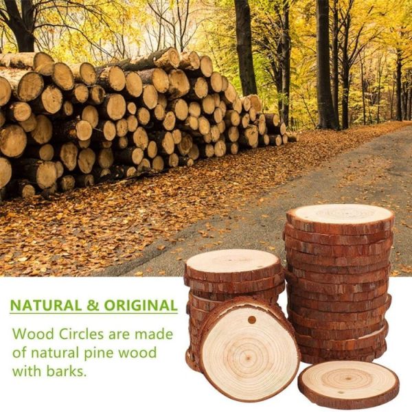 10 PCS Log Round Wood Pieces Hand-painted Decorative Shooting Props, Size: Large - Image 4