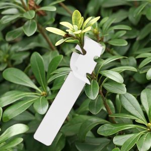 100 PCS Gardening Plant Sapling Seed Hanging Tree Label (White)