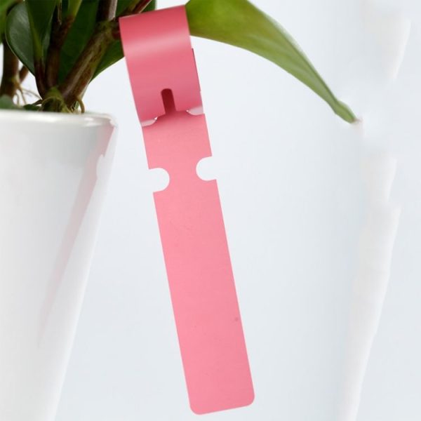 100 PCS Gardening Plant Sapling Seed Hanging Tree Label (White) - Image 3
