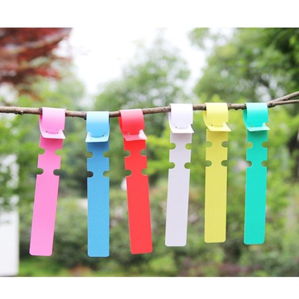 100 PCS Gardening Plant Sapling Seed Hanging Tree Label (White) - Image 5