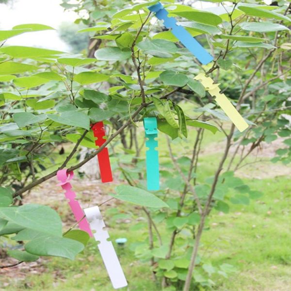100 PCS Gardening Plant Sapling Seed Hanging Tree Label (White) - Image 6