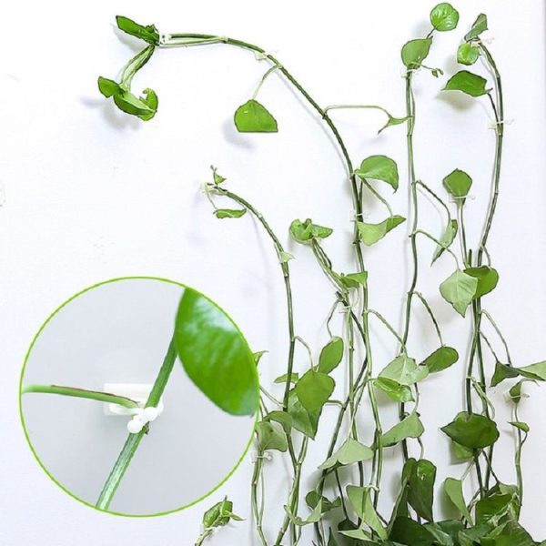 10 PCS Lulu Climbing Wall Fixer Vine Climbing Wall Sticking Hook, Size: Small (White) - Image 2