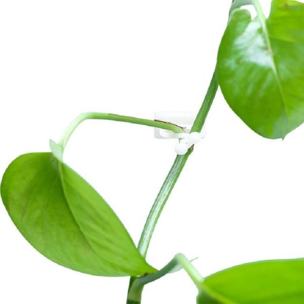 10 PCS Lulu Climbing Wall Fixer Vine Climbing Wall Sticking Hook, Size: Small (White) - Image 3