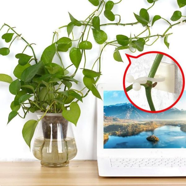 10 PCS Lulu Climbing Wall Fixer Vine Climbing Wall Sticking Hook, Size: Small (White) - Image 5