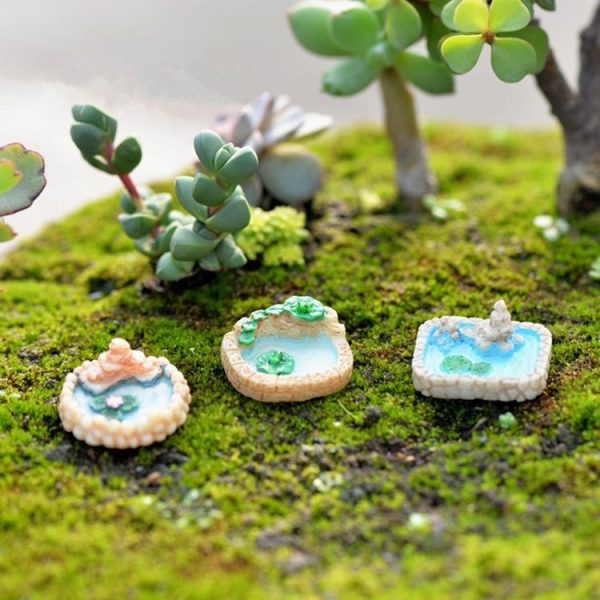 3 PCS Moss Micro-landscape Pools Meaty Ornaments Random Style Delivery - Image 2