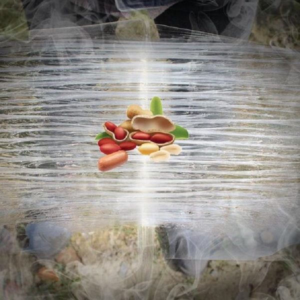 Anti-rodent Strong Sticky Board Transparent Sticky Mouse with Mousetrap Glue - Image 4