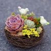 Rattan Nest Bird Bird Crafts Chicken Nest DIY Handmade Bird Nest Scene Props - Image 3
