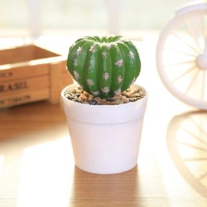 Simulation Cactus Prickly Pear Landscape Garden Gome Office Decoration, Style: Medium Fairy Ball