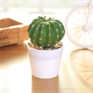 Simulation Cactus Prickly Pear Landscape Garden Gome Office Decoration, Style: Large Prickly Pear