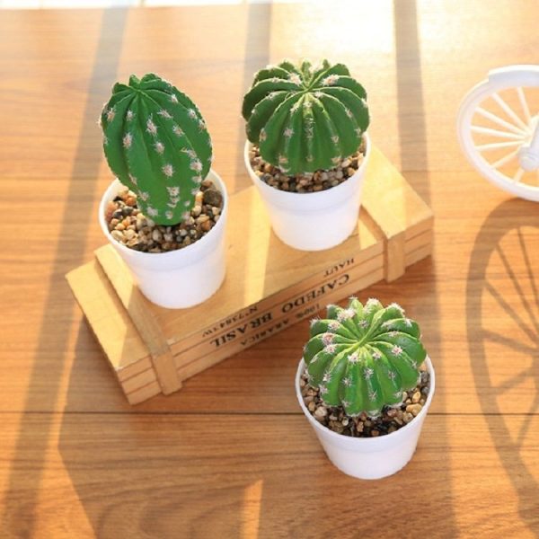 Simulation Cactus Prickly Pear Landscape Garden Gome Office Decoration, Style: Large Prickly Pear - Image 4