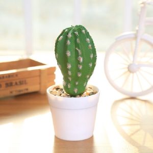 Simulation Cactus Prickly Pear Landscape Garden Gome Office Decoration, Style: Melon-shaped Prickly Pear