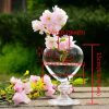 Creative Love Glass Vase Home Decoration - Image 4