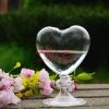 Creative Love Glass Vase Home Decoration - Image 5
