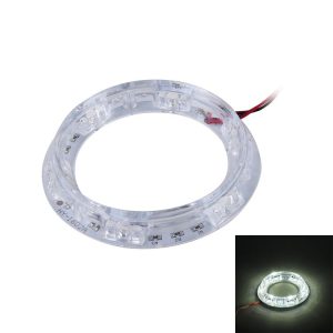 Cms0568wl 1.jpg