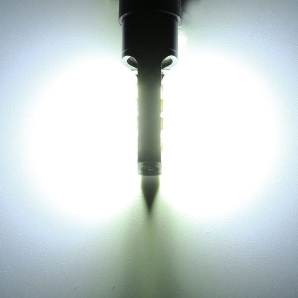 Cms0839wl 7.jpg