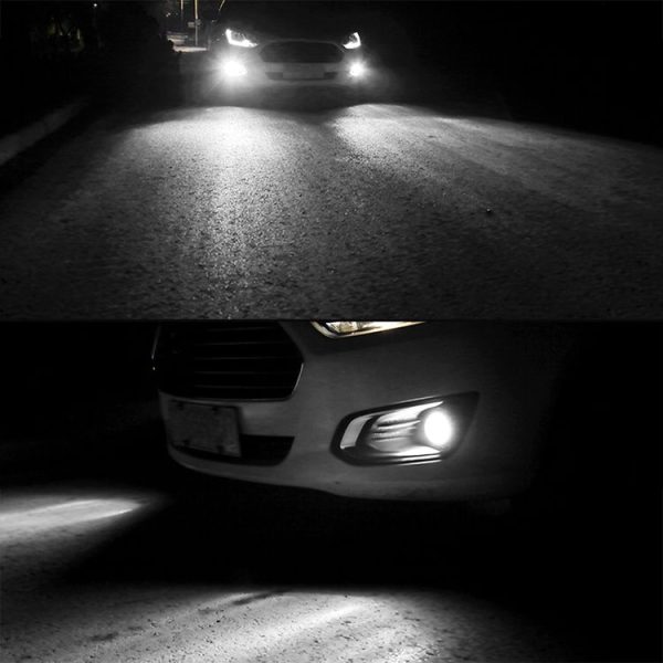 Cms0839wl 9.jpg