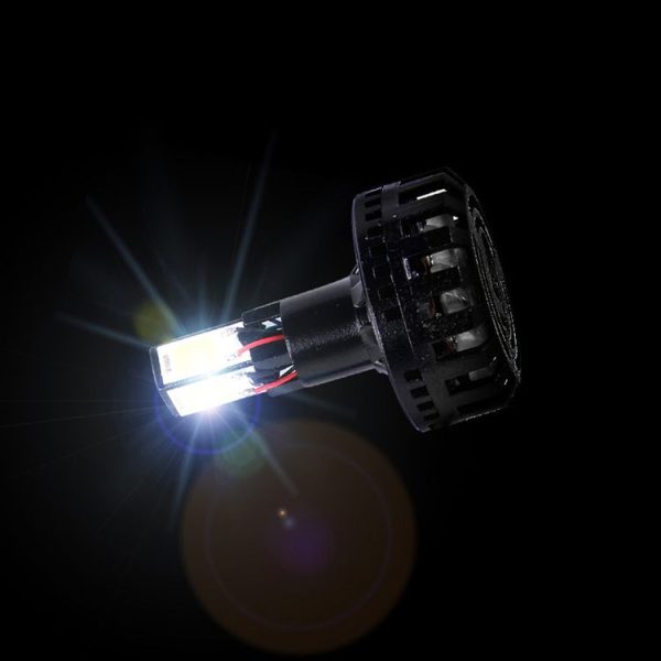 Cms2407 6.jpg
