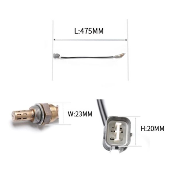 Cms6942 5.jpg