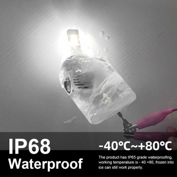 Crp0182lw 7.jpg
