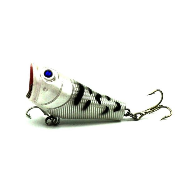 Hc1842 5.jpg