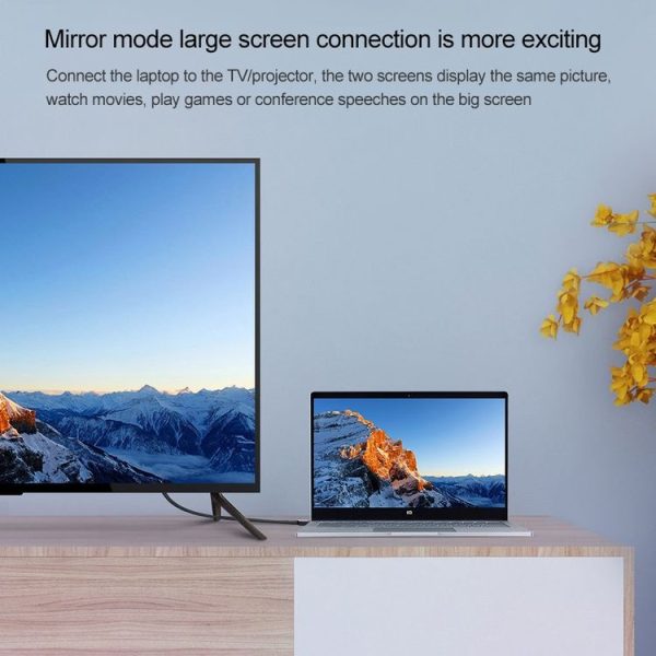 Hdmi9020 8.jpg