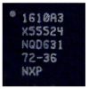 Iccp1124 2.jpg