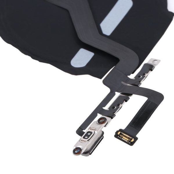 Ip2m0020 4.jpg