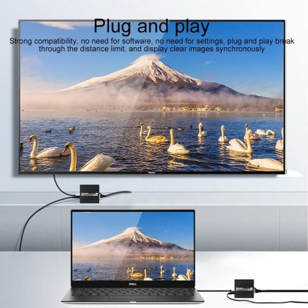 Ip8g1245b 6.jpg