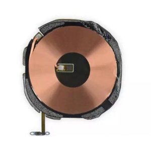 Ipxr5202 1.jpg