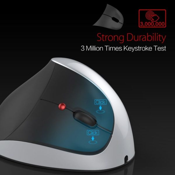 Kb0203s 11.jpg