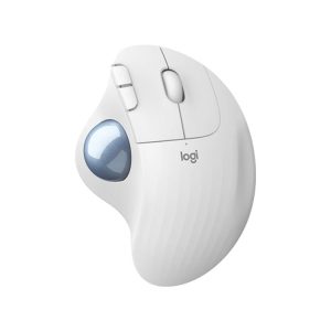 Kb1298w 1.jpg
