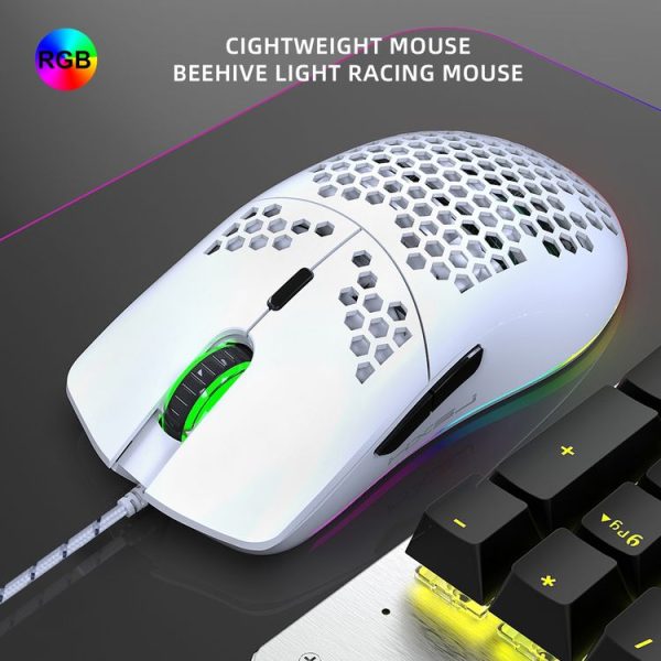 Kb6202w 9.jpg
