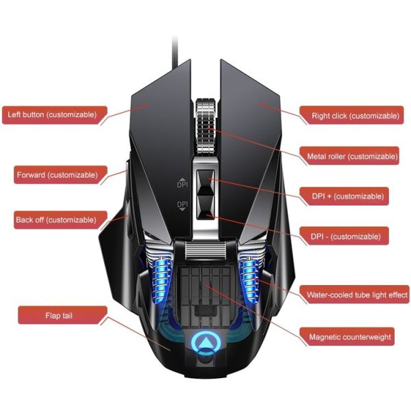 Kb7566b 3.jpg
