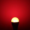 Led0001 6.jpg