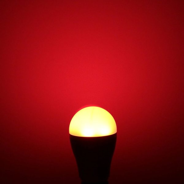 Led0001 6.jpg