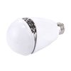 Led0409 2.jpg