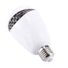 Led0409 3.jpg