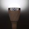 Led0409 5.jpg