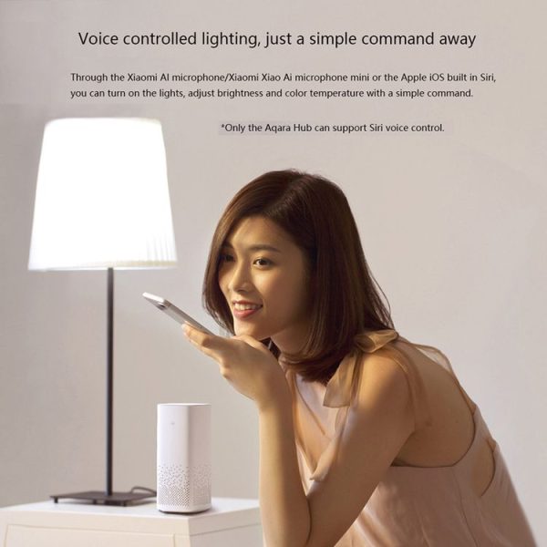 Led0498 7.jpg