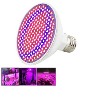 Led0546 1.jpg