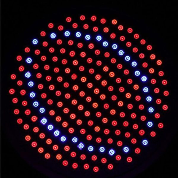 Led0546 10.jpg