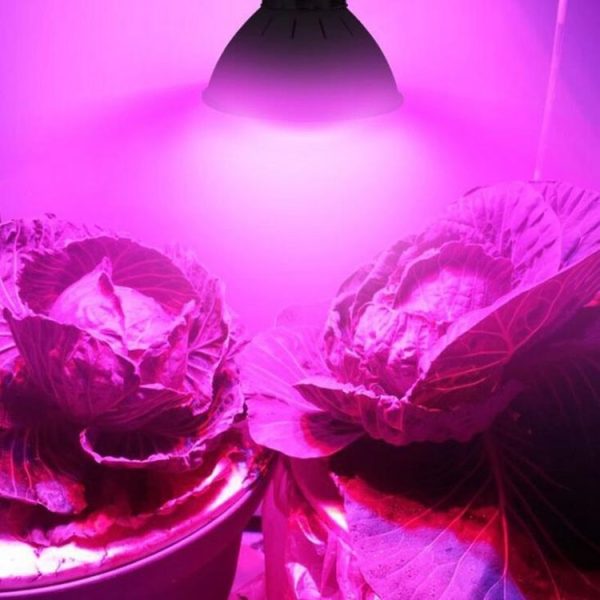 Led0546 11.jpg