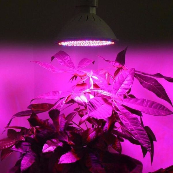 Led0546 12.jpg
