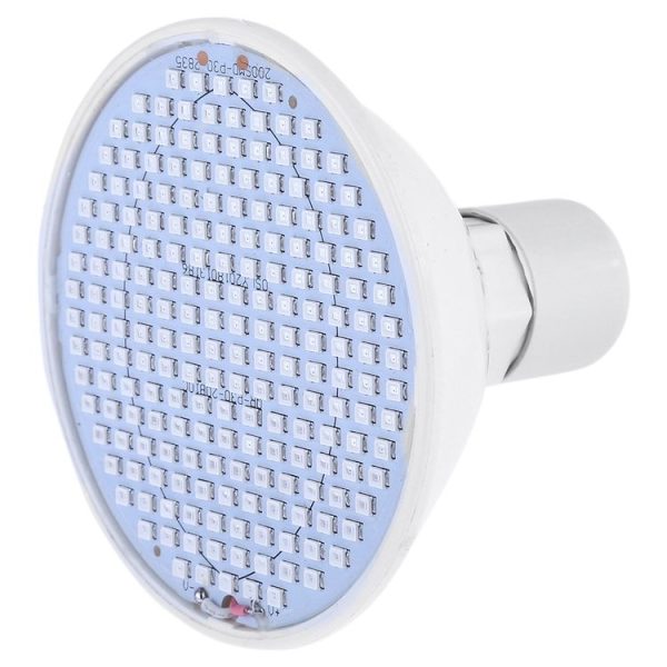 Led0546 2.jpg
